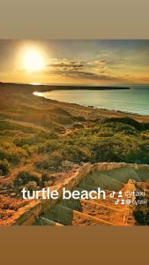 Lara Beach - Turtle Beach